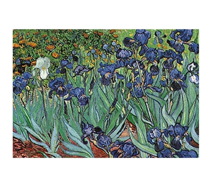 Irises - Dorm Room Van Gogh Wall Poster